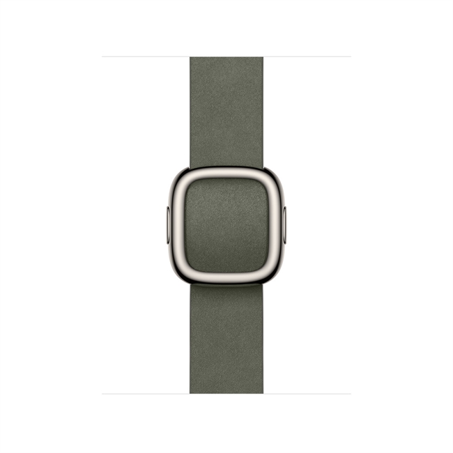 Apple Watch 42mm Salviegrå Modern Buckle - Small